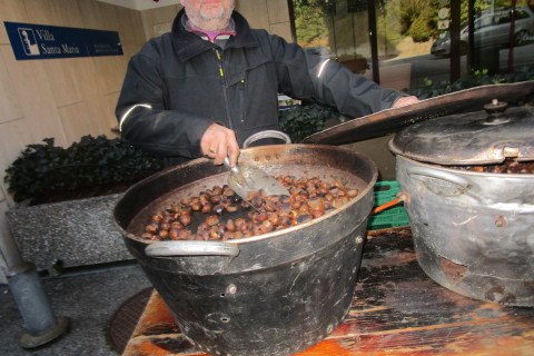 IMG_1132-480x320 (1)